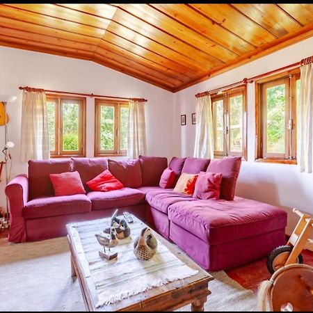 Villa Casa Soutinho - Gerês à Ventosa  Extérieur photo